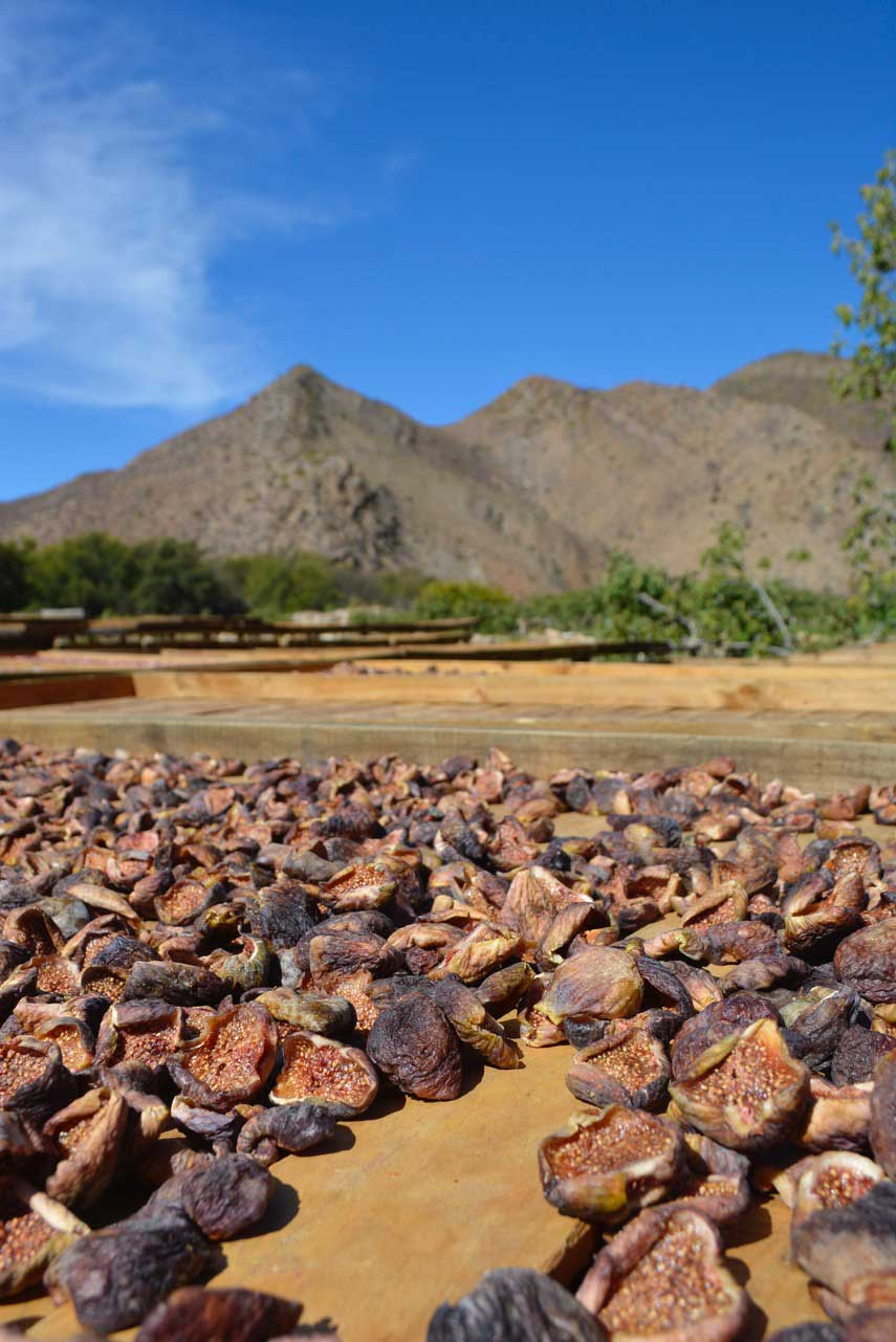 organic figs from south africa