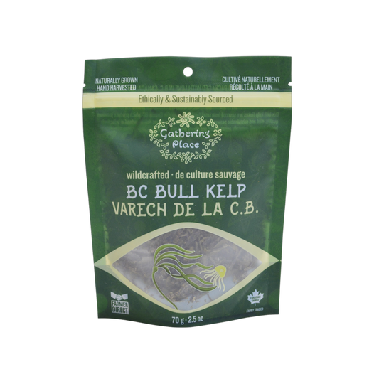 Wildcrafted BC Bull Kelp