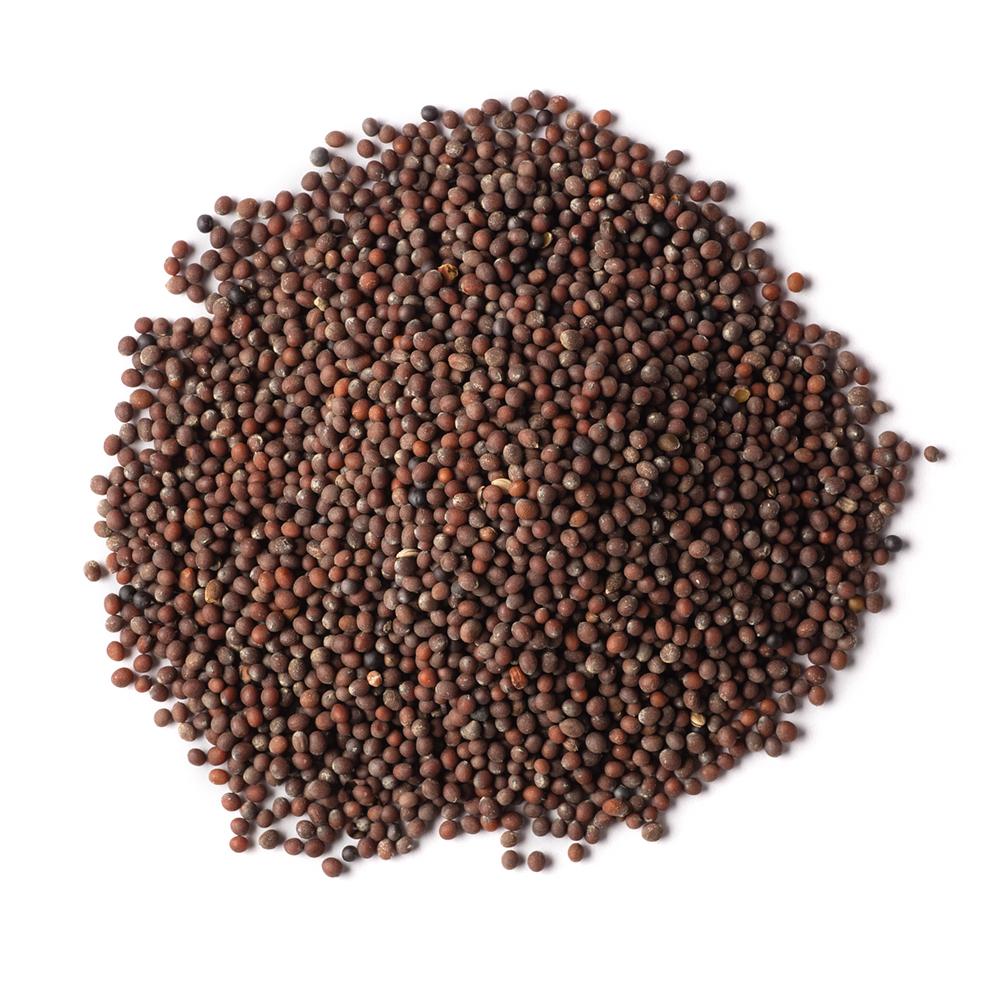 Organic Brown Mustard Seed