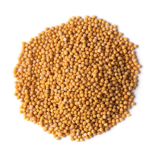 Organic Mustard Yellow Seed