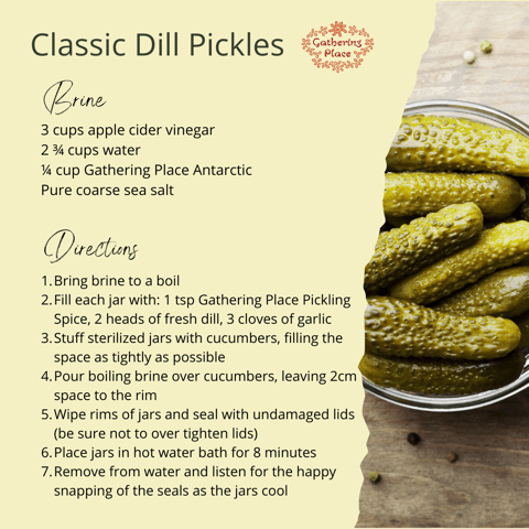 Classic dill pickles recipe