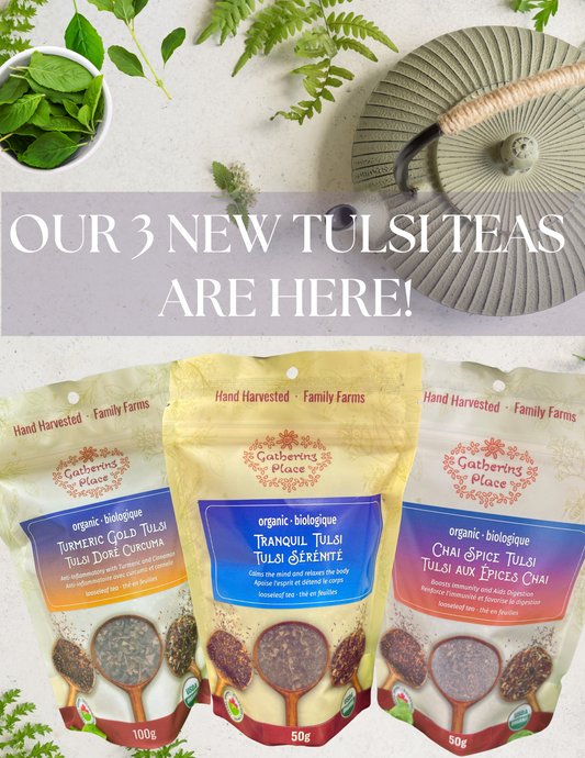 A Journey from Farm to Cup