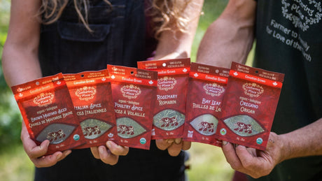 If Our Team Were a Spice, Herb, or Tea… Which One Would They Be?
