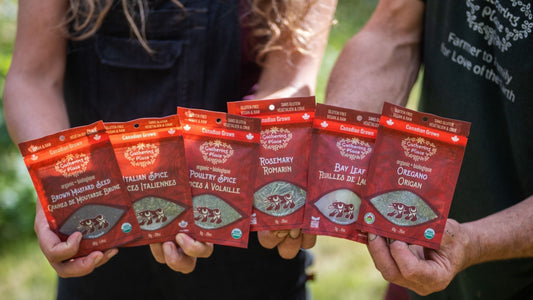 If Our Team Were a Spice, Herb, or Tea… Which One Would They Be?