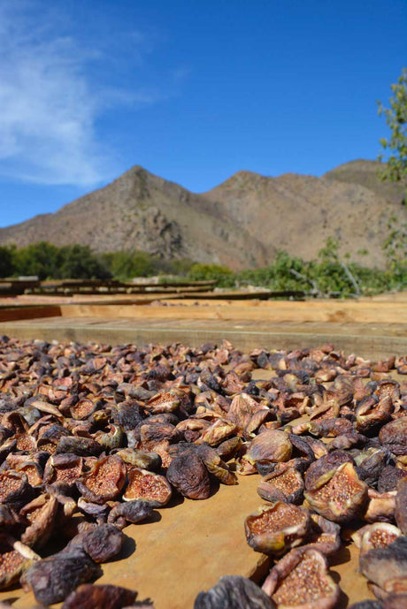organic figs from south africa