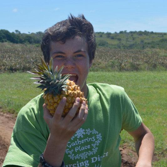 sustainably sourced pineapples
