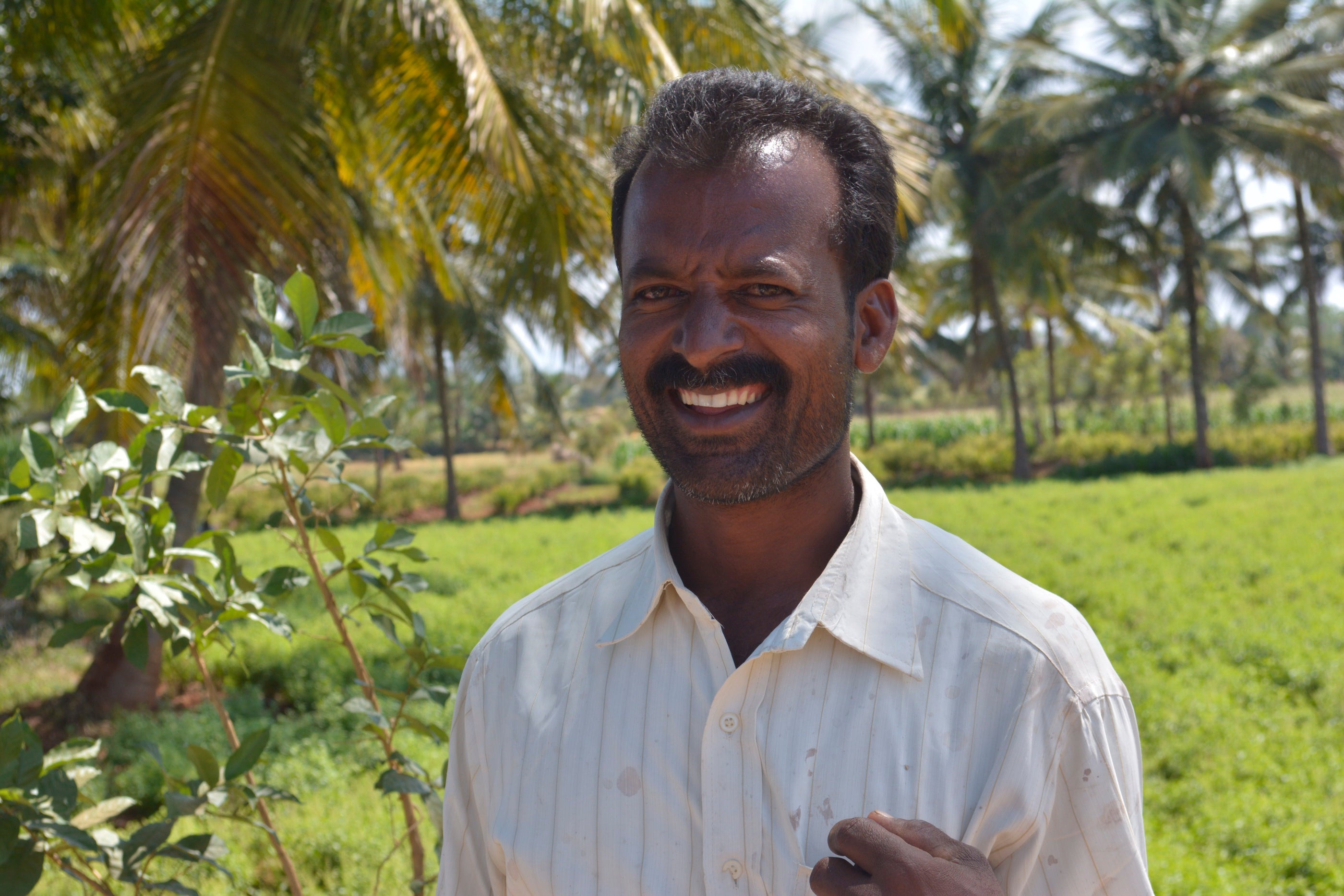 Organic tea farmers in India